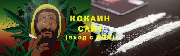 тгк Арсеньев