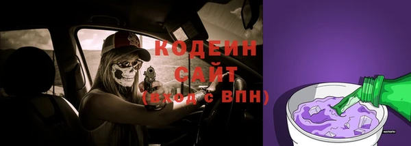 тгк Арсеньев