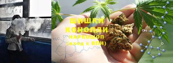 тгк Арсеньев