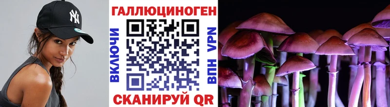 Псилоцибиновые грибы Cubensis  MEGA tor  Тутаев 